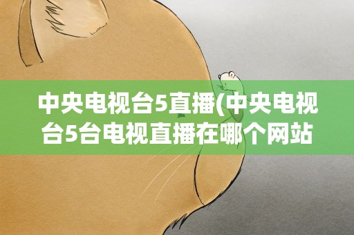 中央电视台5直播(中央电视台5台电视直播在哪个网站)