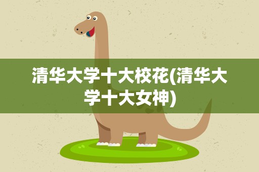 清华大学十大校花(清华大学十大女神)