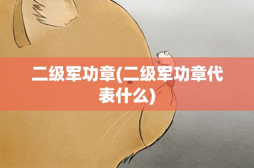 二级军功章(二级军功章代表什么)