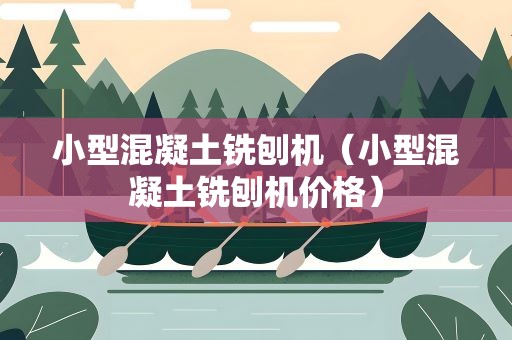 小型混凝土铣刨机（小型混凝土铣刨机价格）