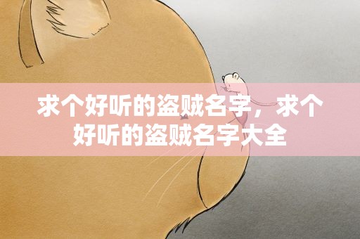 求个好听的盗贼名字，求个好听的盗贼名字大全