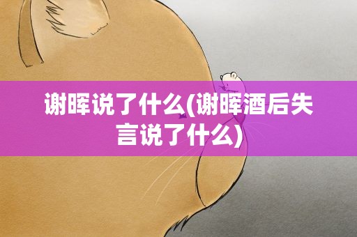 谢晖说了什么(谢晖酒后失言说了什么)