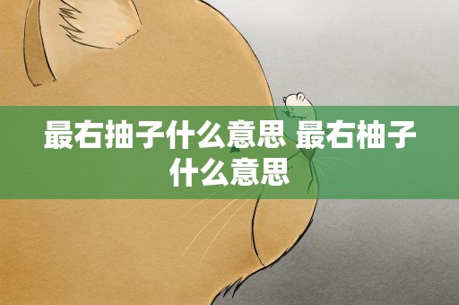 最右抽子什么意思 最右柚子什么意思