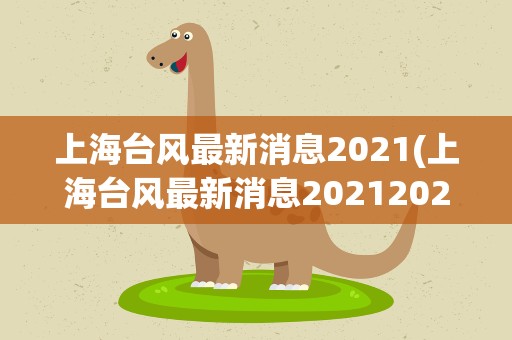 上海台风最新消息2021(上海台风最新消息20212021台风上海)