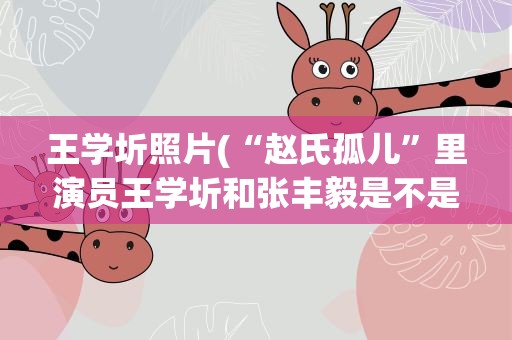 王学圻照片(“赵氏孤儿”里演员王学圻和张丰毅是不是很像)
