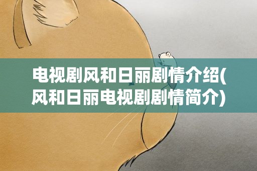 电视剧风和日丽剧情介绍(风和日丽电视剧剧情简介)