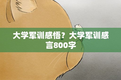 大学军训感悟？大学军训感言800字