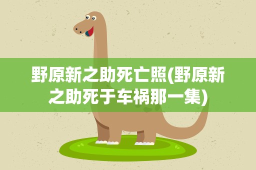 野原新之助死亡照(野原新之助死于车祸那一集)