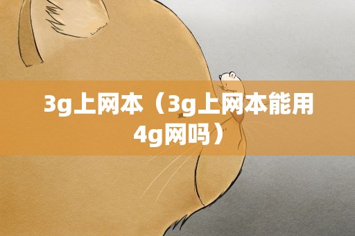 3g上网本（3g上网本能用4g网吗）