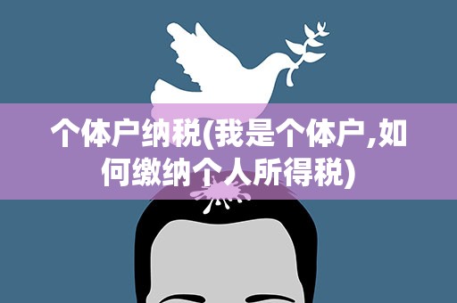 个体户纳税(我是个体户,如何缴纳个人所得税)
