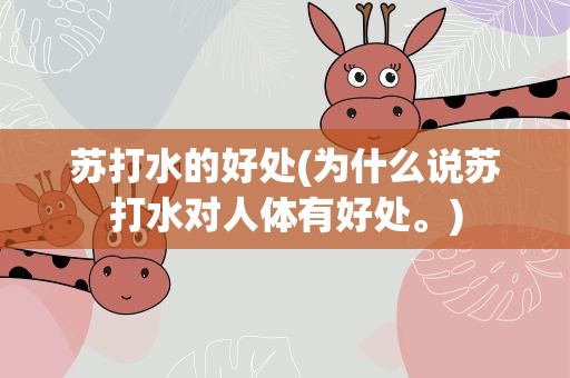 苏打水的好处(为什么说苏打水对人体有好处。)