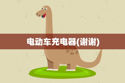 电动车充电器(谢谢)
