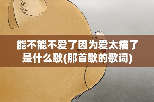 能不能不爱了因为爱太痛了是什么歌(那首歌的歌词)
