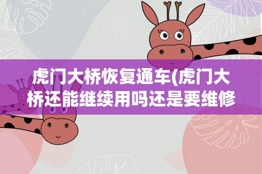 虎门大桥恢复通车(虎门大桥还能继续用吗还是要维修或者重建)