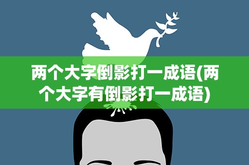 两个大字倒影打一成语(两个大字有倒影打一成语)