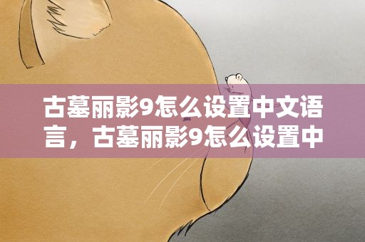 古墓丽影9怎么设置中文语言，古墓丽影9怎么设置中文