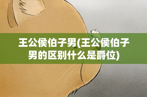 王公侯伯子男(王公侯伯子男的区别什么是爵位)