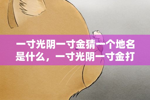 一寸光阴一寸金猜一个地名是什么，一寸光阴一寸金打一个地名是什么