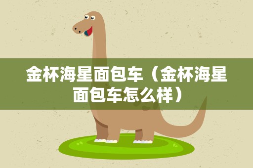 金杯海星面包车（金杯海星面包车怎么样）
