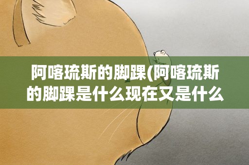 阿喀琉斯的脚踝(阿喀琉斯的脚踝是什么现在又是什么意思)