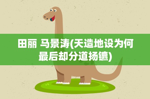 田丽 马景涛(天造地设为何最后却分道扬镳)