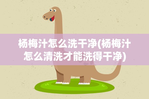 杨梅汁怎么洗干净(杨梅汁怎么清洗才能洗得干净)