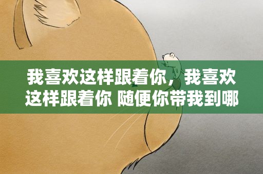 我喜欢这样跟着你，我喜欢这样跟着你 随便你带我到哪里 这是啥歌