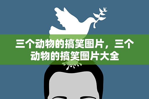 三个动物的搞笑图片，三个动物的搞笑图片大全