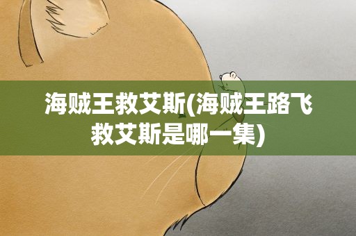 海贼王救艾斯(海贼王路飞救艾斯是哪一集)