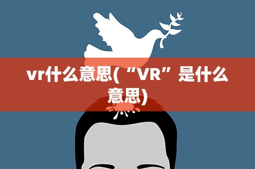 vr什么意思(“VR”是什么意思)