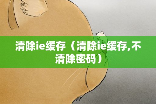 清除ie缓存（清除ie缓存,不清除密码）