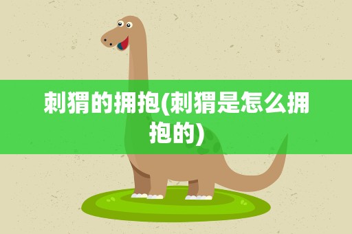 刺猬的拥抱(刺猬是怎么拥抱的)