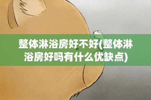 整体淋浴房好不好(整体淋浴房好吗有什么优缺点)