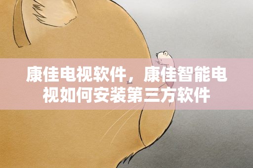 康佳电视软件，康佳智能电视如何安装第三方软件