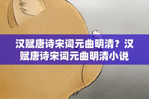 汉赋唐诗宋词元曲明清？汉赋唐诗宋词元曲明清小说
