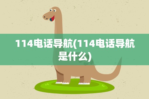 114电话导航(114电话导航是什么)