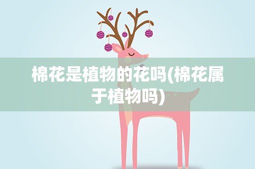 棉花是植物的花吗(棉花属于植物吗)