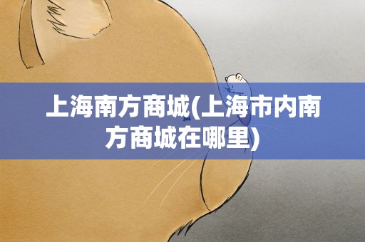 上海南方商城(上海市内南方商城在哪里)