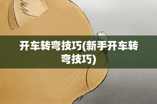 开车转弯技巧(新手开车转弯技巧)