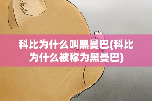 科比为什么叫黑曼巴(科比为什么被称为黑曼巴)