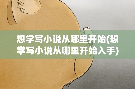 想学写小说从哪里开始(想学写小说从哪里开始入手)