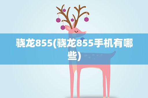 骁龙855(骁龙855手机有哪些)