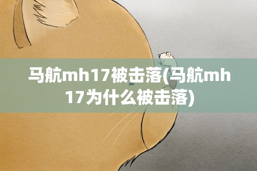 马航mh17被击落(马航mh17为什么被击落)