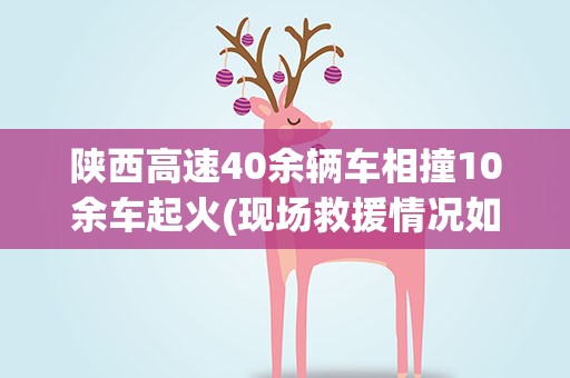 陕西高速40余辆车相撞10余车起火(现场救援情况如何)