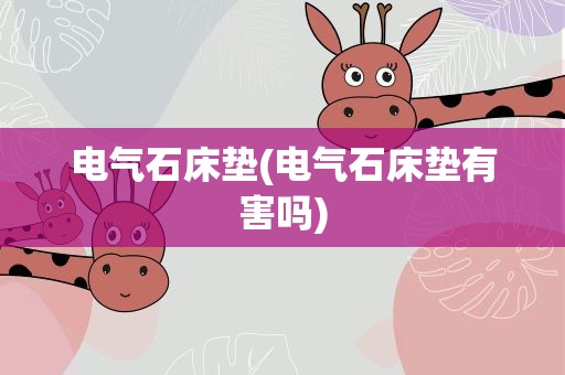 电气石床垫(电气石床垫有害吗)