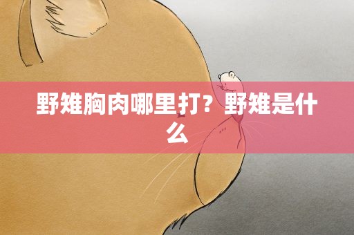 野雉胸肉哪里打？野雉是什么
