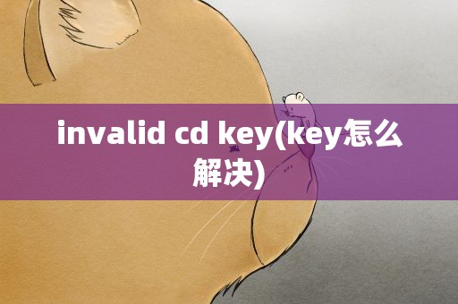 invalid cd key(key怎么解决)