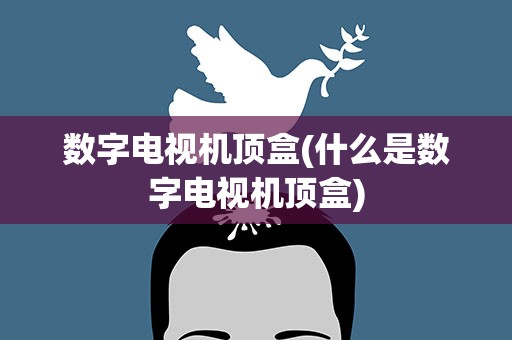 数字电视机顶盒(什么是数字电视机顶盒)