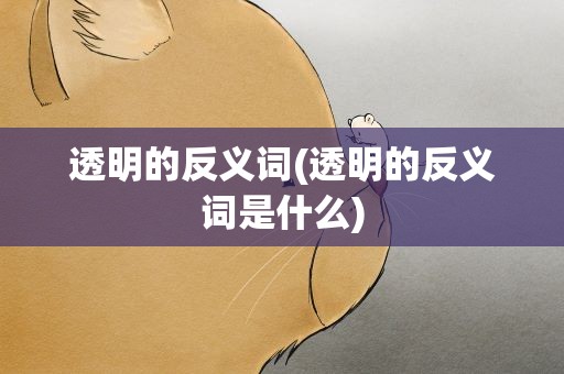 透明的反义词(透明的反义词是什么)