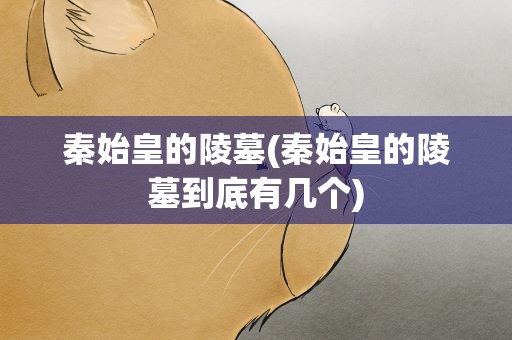 秦始皇的陵墓(秦始皇的陵墓到底有几个)